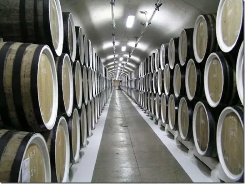Продаю фабрику по производству вина в Испании