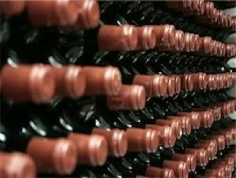 Продаю фабрику по производству вина в Испании 3