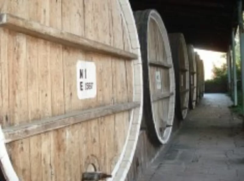 Продаю фабрику по производству вина в Испании 4