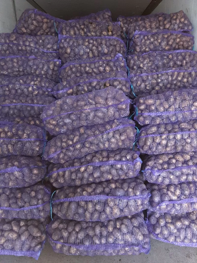 Картофель оптом со склада Фермерского Хозяйства 