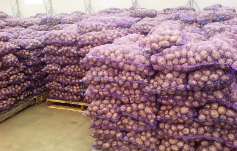 Картофель оптом со склада Фермерского Хозяйства  5